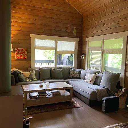 Cozy Log In Feriehus